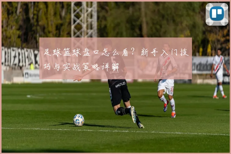 足球篮球盘口怎么看?新手入门技巧与实战策略详解